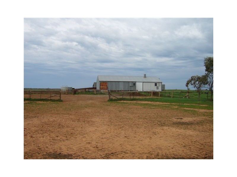 . NOONAMEENA and COLEAMBALLY STATIONS, Coleambally NSW 2707 the real