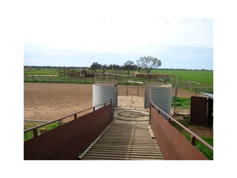 . NOONAMEENA and COLEAMBALLY STATIONS, Coleambally NSW 2707 the real