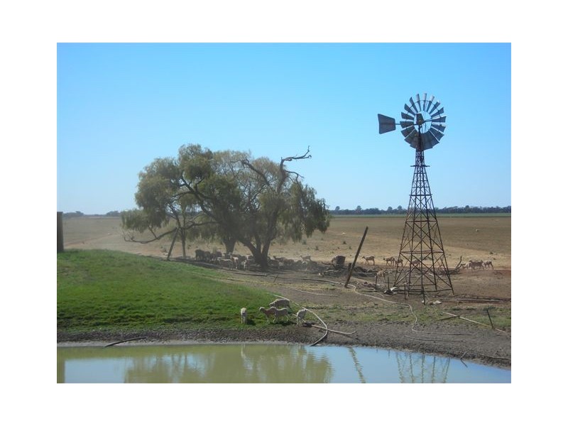 . NOONAMEENA and COLEAMBALLY STATIONS, Coleambally NSW 2707