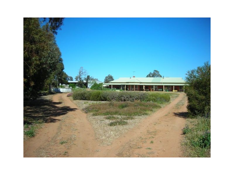 . NOONAMEENA and COLEAMBALLY STATIONS, Coleambally NSW 2707 the real