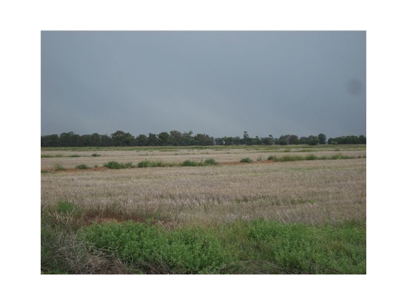 Farm 588 Gilbert Road, Coleambally NSW 2707