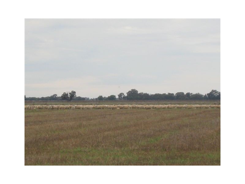 Farm 588 Gilbert Road, Coleambally NSW 2707