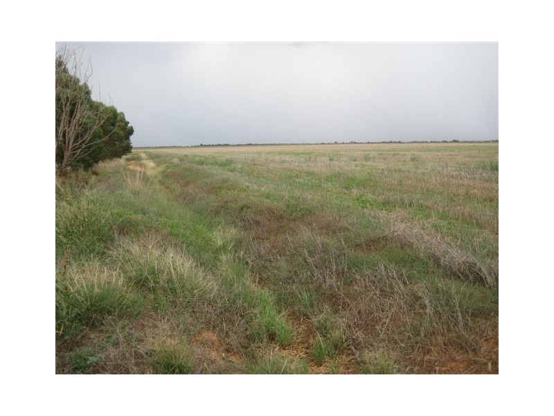 Farm 588 Gilbert Road, Coleambally NSW 2707