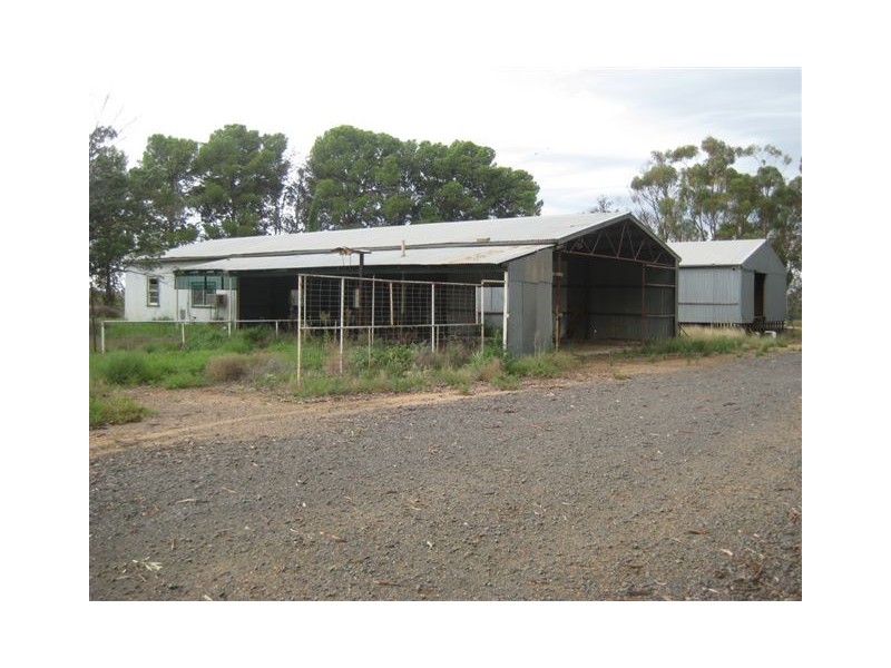 Farm 588 Gilbert Road, Coleambally NSW 2707