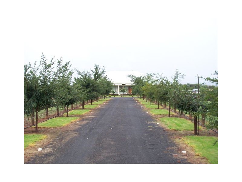 20 Mancini Drive, Lake Wyangan NSW 2680