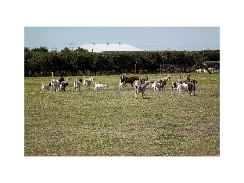 75A Wincey Road, Hanwood NSW 2680