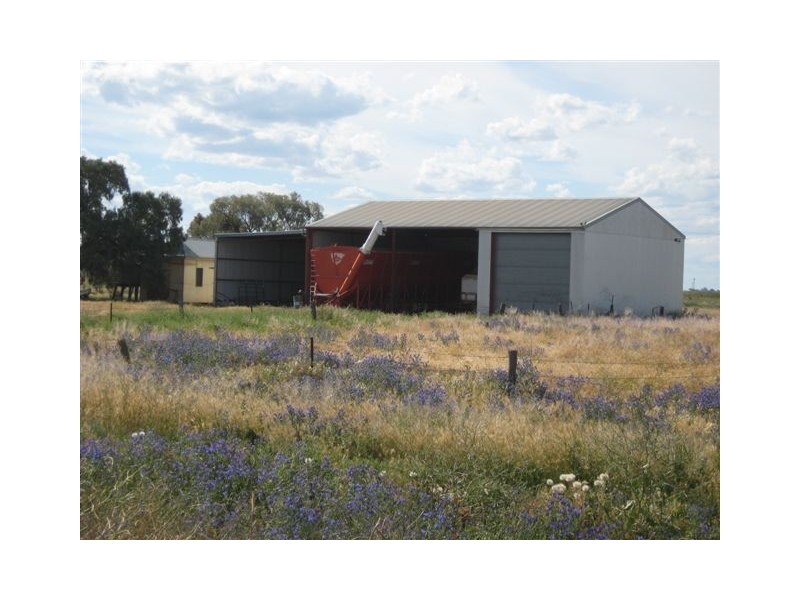 351 McNamara Road, Benerembah NSW 2680