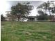 Rankins Springs NSW 2669