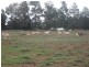 Rankins Springs NSW 2669