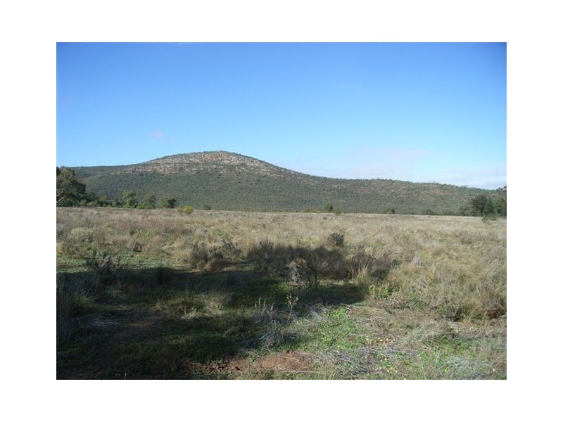 Naradhan NSW 2669