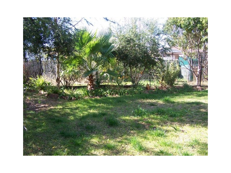 31 Currawong Crescent, Coleambally NSW 2707
