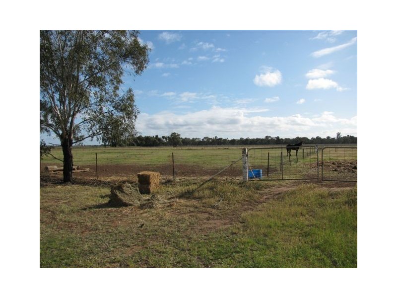 Farm 1444D Bilbul Road, Bilbul NSW 2680