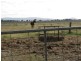 Farm 1444D Bilbul Road, Bilbul NSW 2680