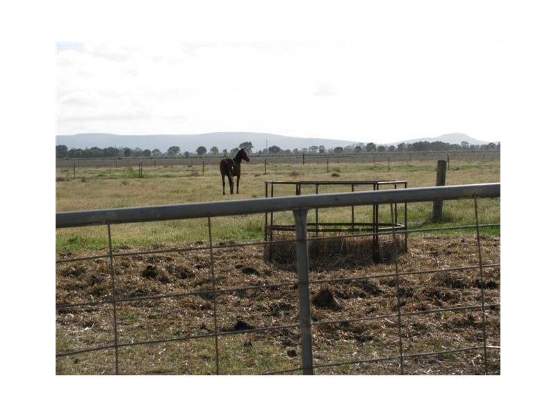 Farm 1444D Bilbul Road, Bilbul NSW 2680