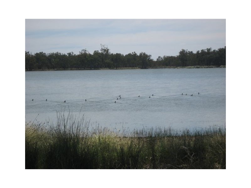 . “Sheet of Water”, Lake Cargelligo NSW 2672