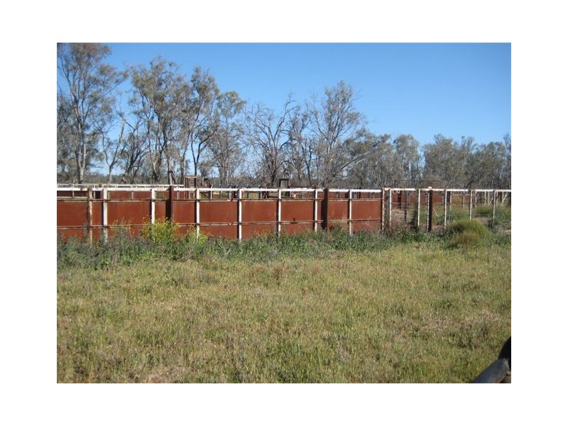 . “Sheet of Water”, Lake Cargelligo NSW 2672