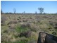 . “Sheet of Water”, Lake Cargelligo NSW 2672