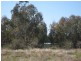 . “Sheet of Water”, Lake Cargelligo NSW 2672