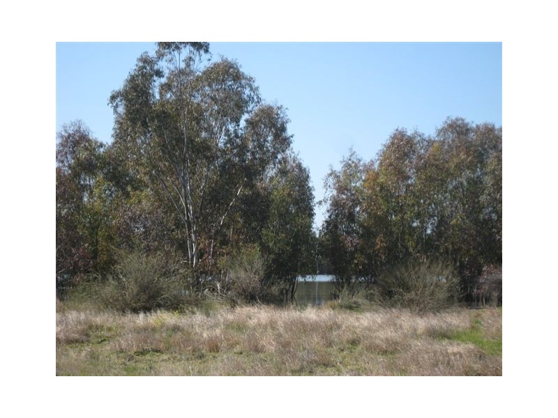 . “Sheet of Water”, Lake Cargelligo NSW 2672