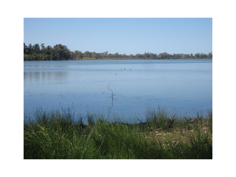 . “Sheet of Water”, Lake Cargelligo NSW 2672