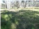 . “Sheet of Water”, Lake Cargelligo NSW 2672