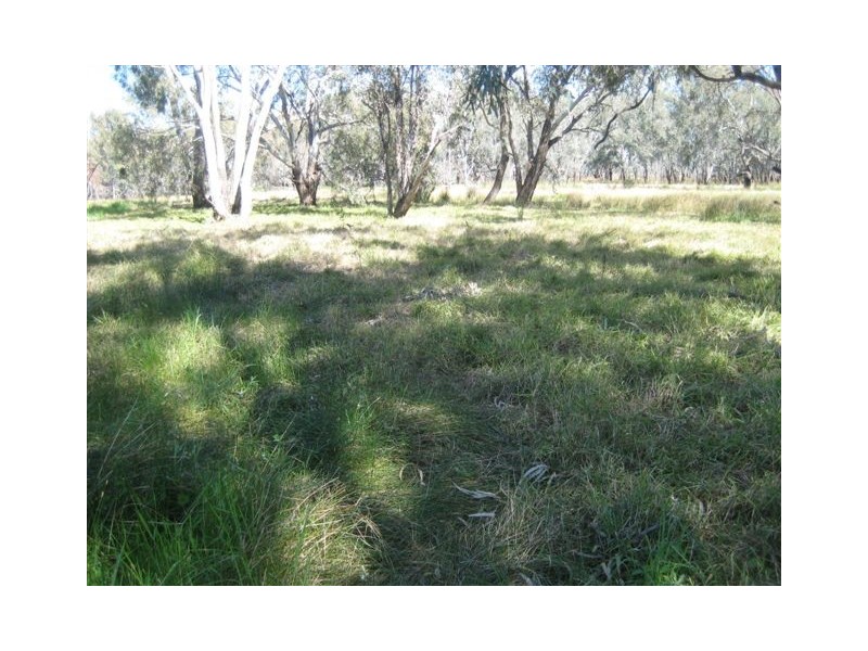 . “Sheet of Water”, Lake Cargelligo NSW 2672