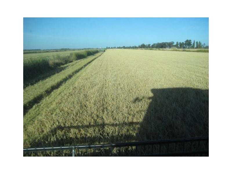 29A and 29B Clark Road, Benerembah NSW 2680