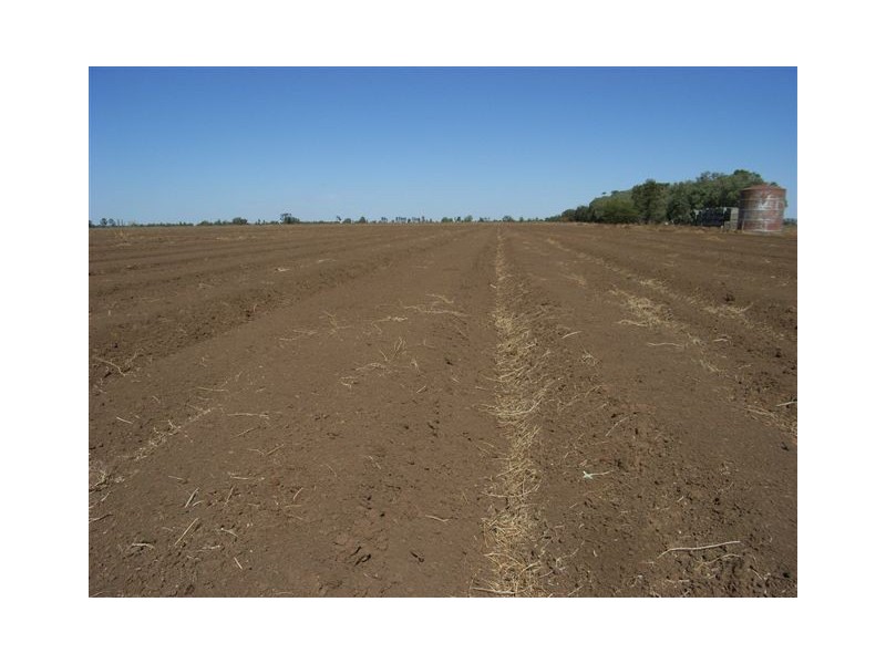 29A and 29B Clark Road, Benerembah NSW 2680