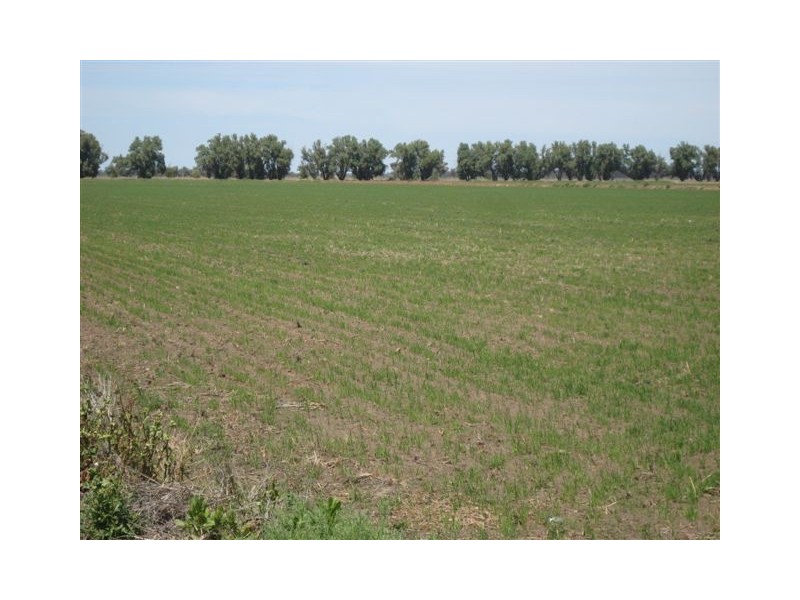 29A and 29B Clark Road, Benerembah NSW 2680