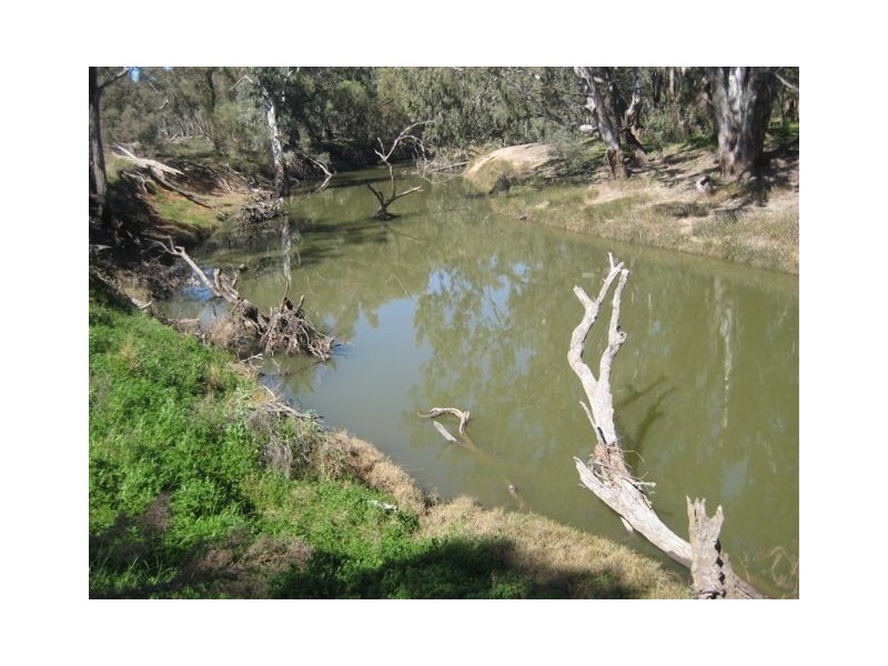 . WATER FOR SALE LACHLAN RIVER, Hillston NSW 2675