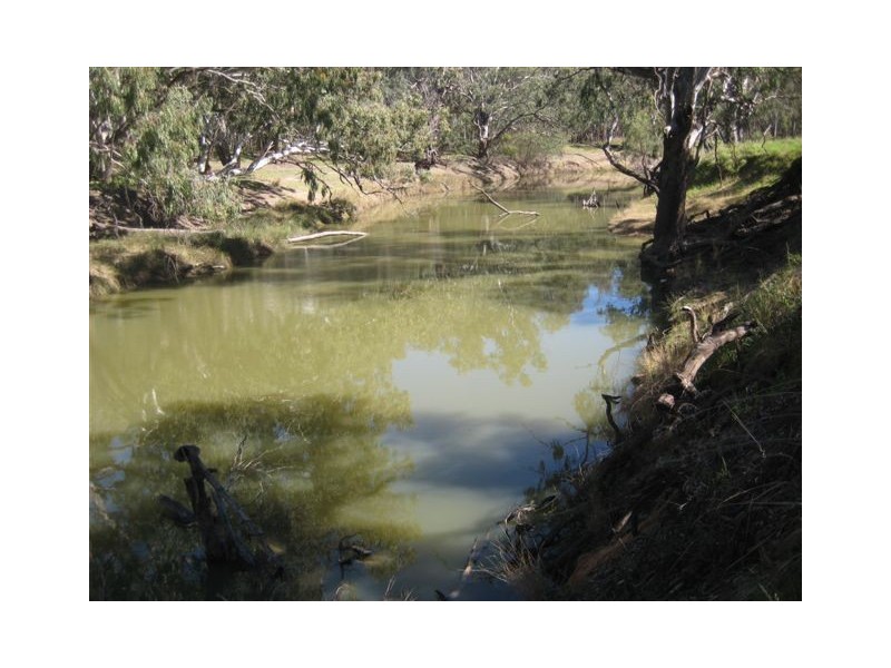 . WATER FOR SALE LACHLAN RIVER, Condobolin NSW 2877