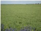 Farm 15F McNamara Road, Benerembah NSW 2680