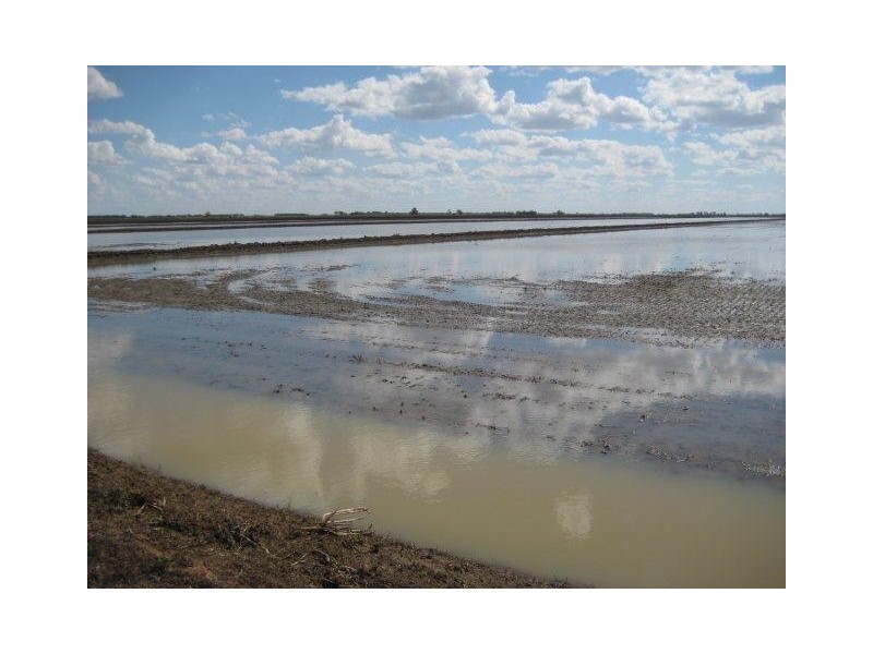Farm 15F McNamara Road, Benerembah NSW 2680