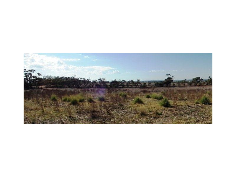 Farm 2737, Lake Wyangan NSW 2680