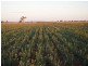 . Glenn Road, Murrami NSW 2705