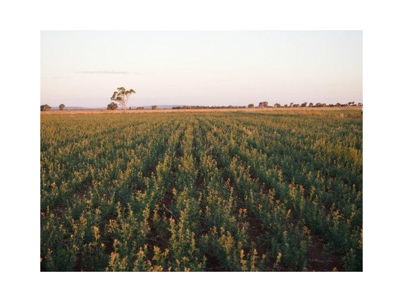 . Glenn Road, Murrami NSW 2705