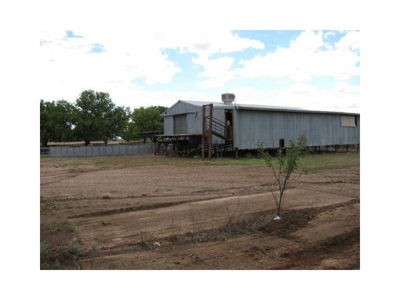 Farm 1308 Kooba Road, Whitton NSW 2705