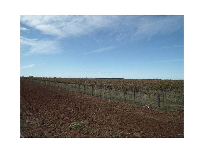 Farm 2727 Mion Lane, Beelbangera NSW 2680