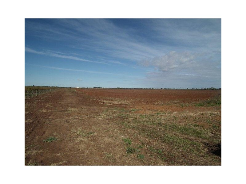 Farm 2727 Mion Lane, Beelbangera NSW 2680