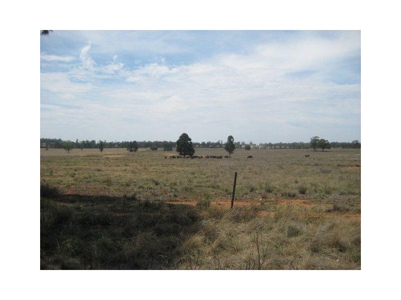 . “Montrose” Weja, Ungarie NSW 2669