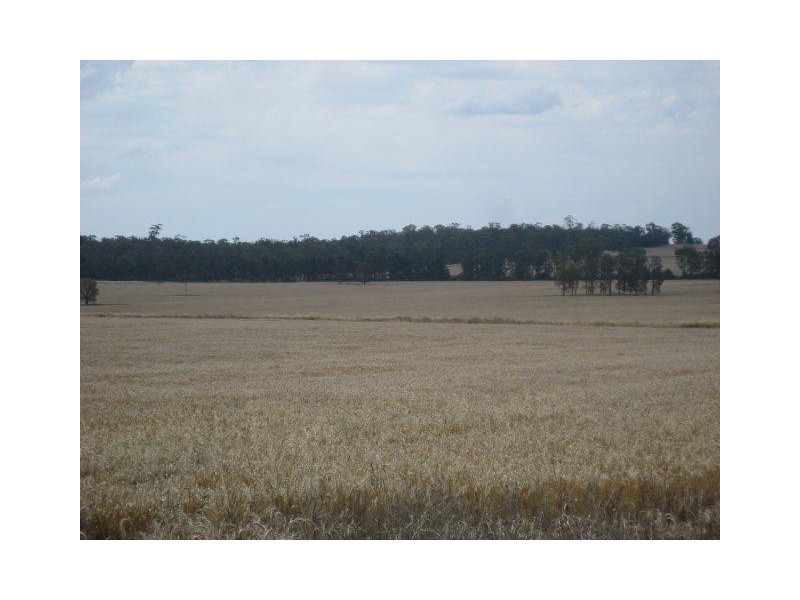 . “Montrose” Weja, Ungarie NSW 2669