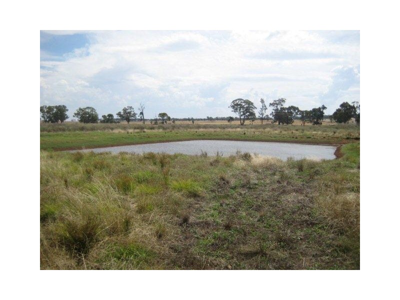 . “Montrose” Weja, Ungarie NSW 2669