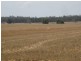 . “Montrose” Weja, Ungarie NSW 2669