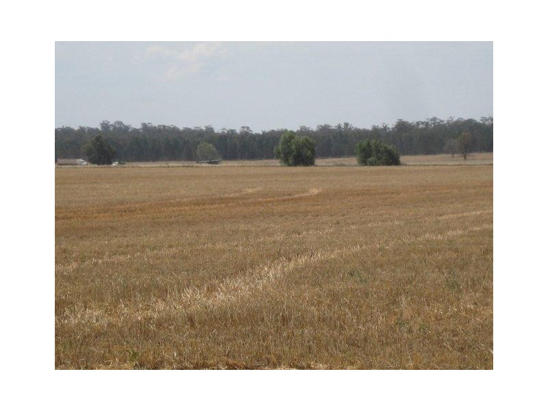 . “Montrose” Weja, Ungarie NSW 2669