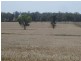 . “Montrose” Weja, Ungarie NSW 2669