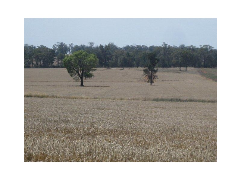 . “Montrose” Weja, Ungarie NSW 2669