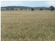 . “Montrose” Weja, Ungarie NSW 2669