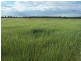 . “Montrose” Weja, Ungarie NSW 2669