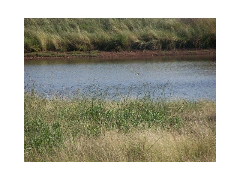 . “Montrose” Weja, Ungarie NSW 2669