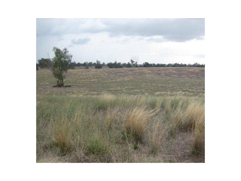 . “Caringal Northside”, Narrandera NSW 2700